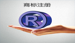 商標(biāo)注冊申請(qǐng)